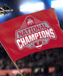 Ohio State Buckeyes WinCraft College Football Playoff 2024 National Champions Double Sided Deluxe House Flag